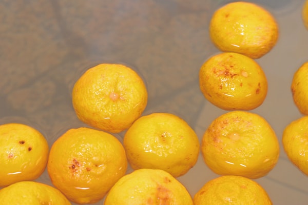 しもやけや肌荒れを防ぐ効果のある柚子の湯/日替わり風呂一例
