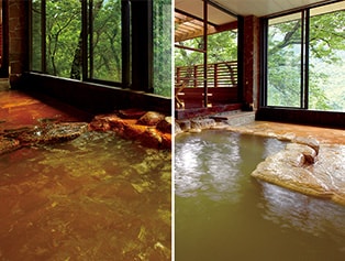 鳥越の宿 三楽園 にごり湯