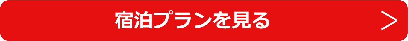 宿泊プランを見る