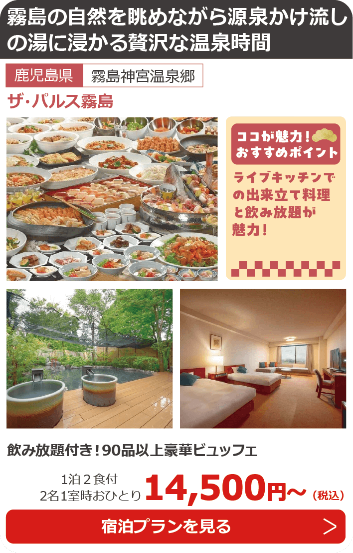 ザ・パルス霧島