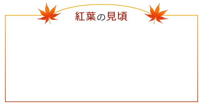 紅葉の見頃