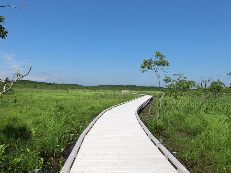 釧路湿原国立公園