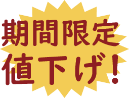 期間限定値下げ