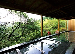 熱海　森の温泉ホテル