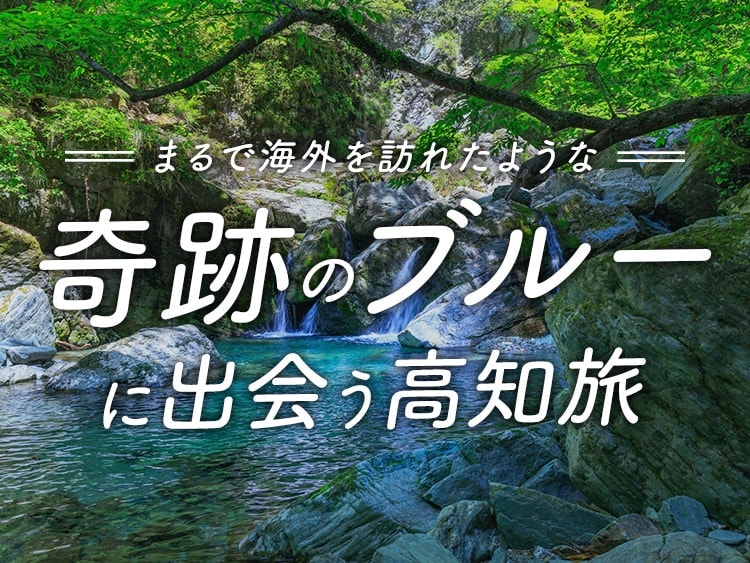 奇跡のブルーに出会う高知旅