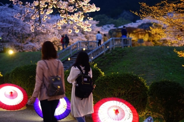 石舞台古墳夜桜ライトアップ 奈良県 の観光イベント情報 ゆこゆこ