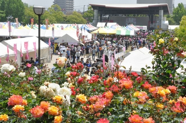 福山ばら祭19 広島県 の観光イベント情報 ゆこゆこ