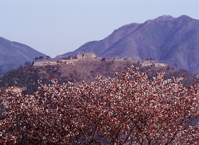 立雲峡桜まつり 兵庫県 の観光イベント情報 ゆこゆこ