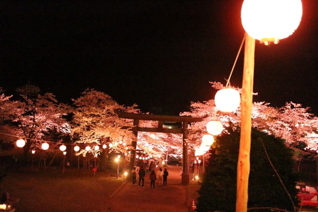 鬼怒川温泉夜桜大宴会19 栃木県 の観光イベント情報 ゆこゆこ