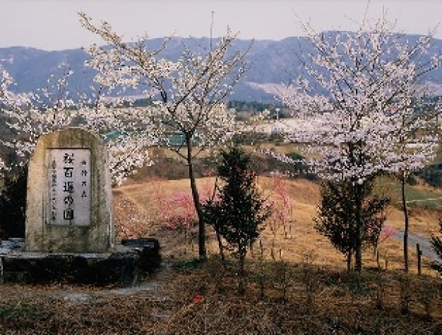 桜 見ごろ 桜百選の園 岐阜県 の観光イベント情報 ゆこゆこ
