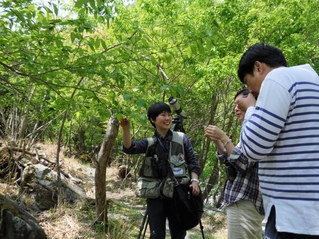 ゴールデンウィーク 自然の専門家と春の森を楽しもう 山梨県 の観光イベント情報 ゆこゆこ