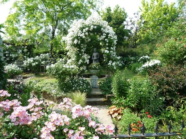 松阪農業公園ベルファーム 春のローズフェア 三重県 の観光イベント情報 ゆこゆこ