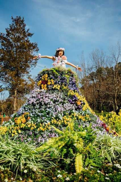 フラワードレスの装飾花壇 大阪府 の観光イベント情報 ゆこゆこ