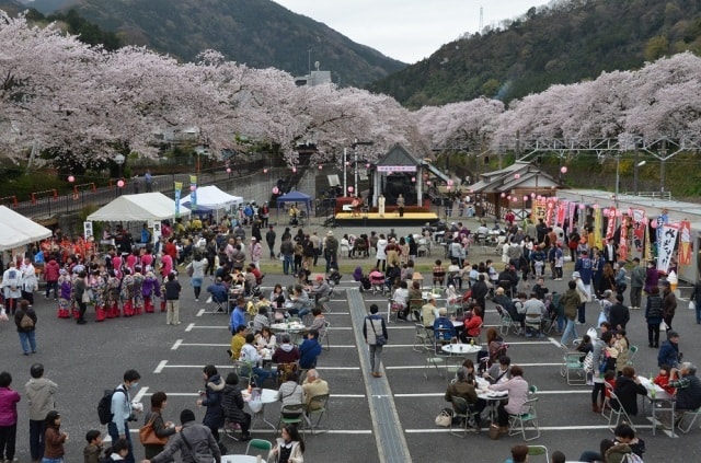 やまきた桜まつり 神奈川県 の観光イベント情報 ゆこゆこ