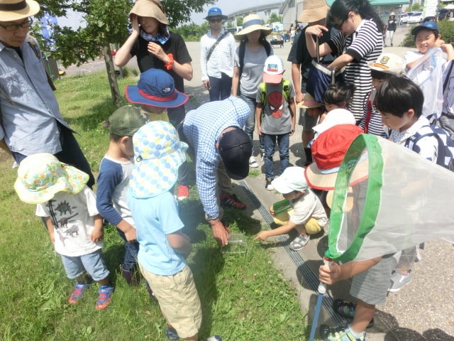 モリコロパーク 自然観察会 7月 愛知県 の観光イベント情報 ゆこゆこ