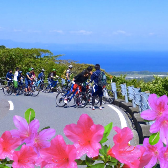 Gwは島で 伊豆大島サイクリングキャンプ 東京都 の観光イベント情報 ゆこゆこ