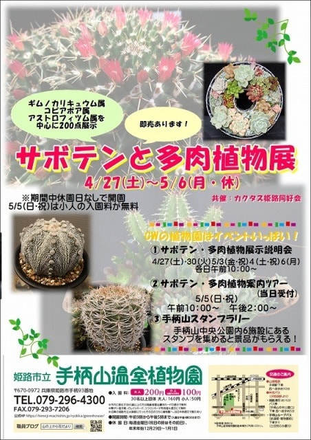 姫路市立手柄山温室植物園 サボテンと多肉植物展 兵庫県 の観光イベント情報 ゆこゆこ