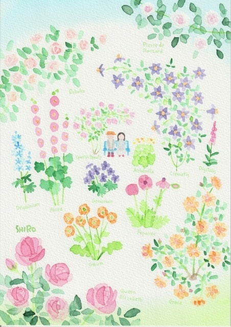 藤川志朗 バラと花のイラスト展 19春 千葉県 の観光イベント情報 ゆこゆこ