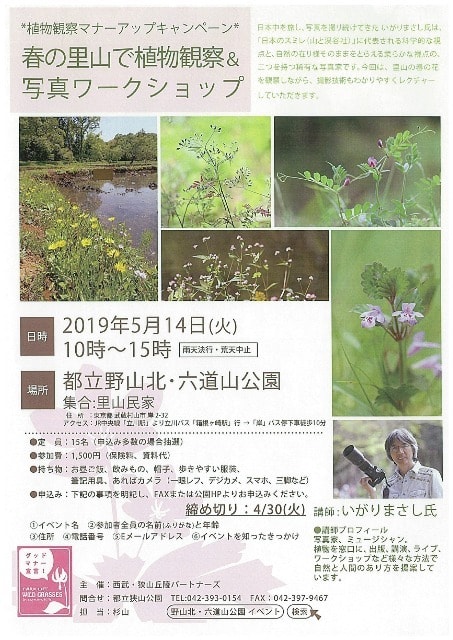 春の里山で植物観察 写真ワークショップ 東京都 の観光イベント情報 ゆこゆこ