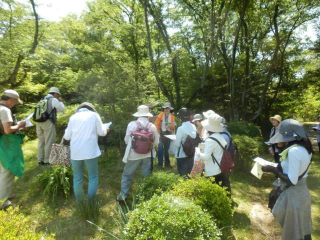 万葉の草木めぐり 愛知県 の観光イベント情報 ゆこゆこ