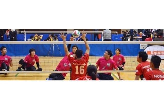 第22回夏パラバレーボール選手権大会 東京都 の観光イベント情報 ゆこゆこ