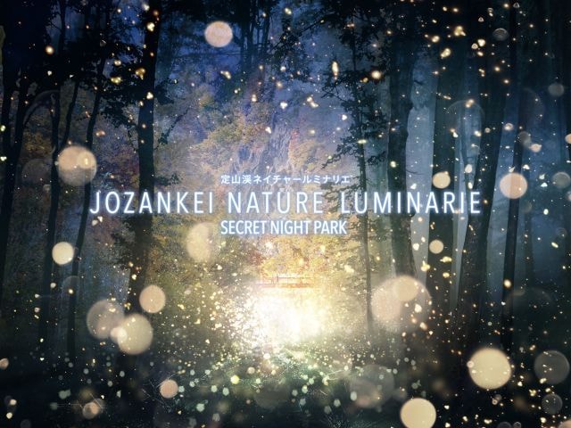 Jozankei Nature Luminarie Secret Night Park 北海道 の観光イベント情報 ゆこゆこ