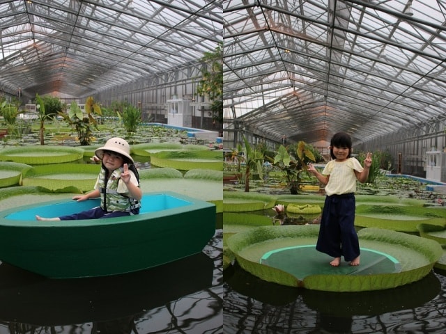 オオオニバス乗ってみよう 船に乗ってみよう 静岡県 の観光イベント情報 ゆこゆこ