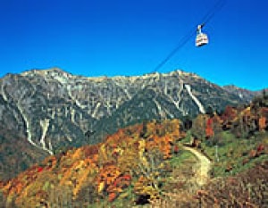 紅葉 見ごろ 新穂高 岐阜県 の観光イベント情報 ゆこゆこ