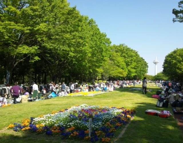 所沢市 所沢航空記念公園 フリーマーケット 6月 埼玉県 の観光イベント情報 ゆこゆこ