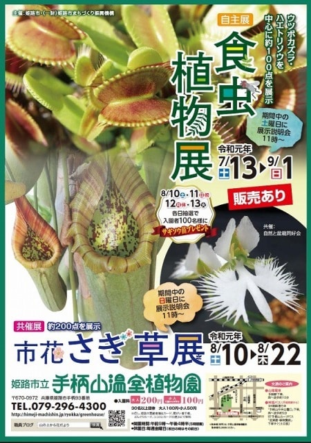 姫路市立手柄山温室植物園 食虫植物展 兵庫県 の観光イベント情報 ゆこゆこ