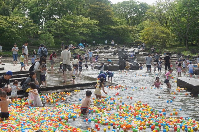 府中市郷土の森博物館 水遊びの池 東京都 の観光イベント情報 ゆこゆこ 府中市郷土の森博物館 水遊びの池 東京都 の観光イベント情報 ゆこゆこ