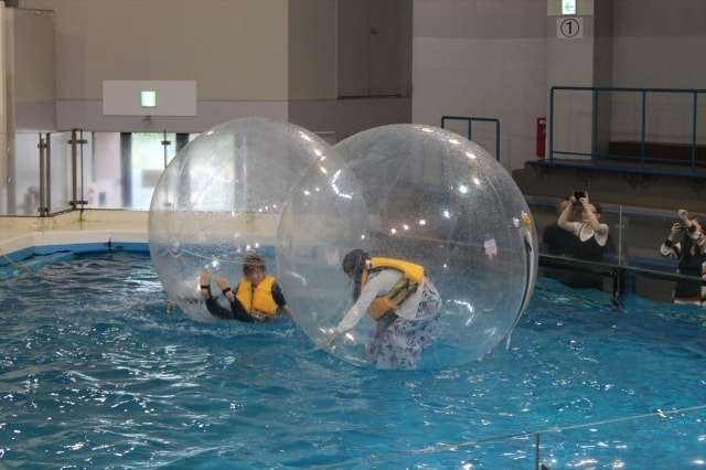 ウォーターボール体験 北海道 の観光イベント情報 ゆこゆこ