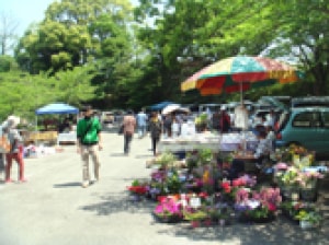 ホテルで楽しむフリーマーケット In 岡山国際ホテル 8月 岡山県 の観光イベント情報 ゆこゆこ