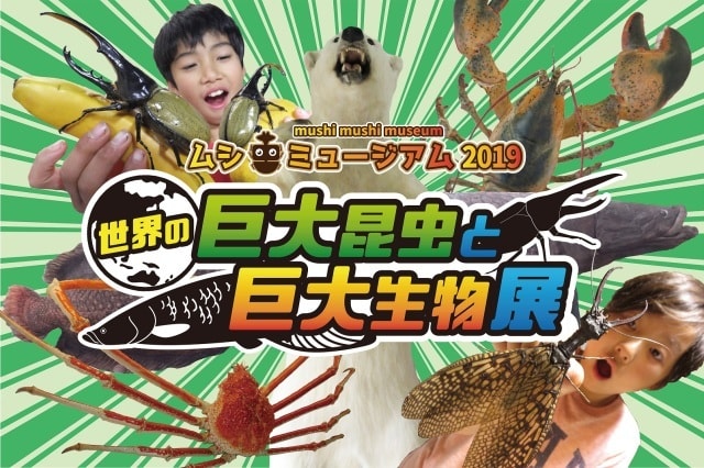 ムシ虫ミュージアム19 世界の巨大昆虫と巨大生物展 埼玉県 の観光イベント情報 ゆこゆこ