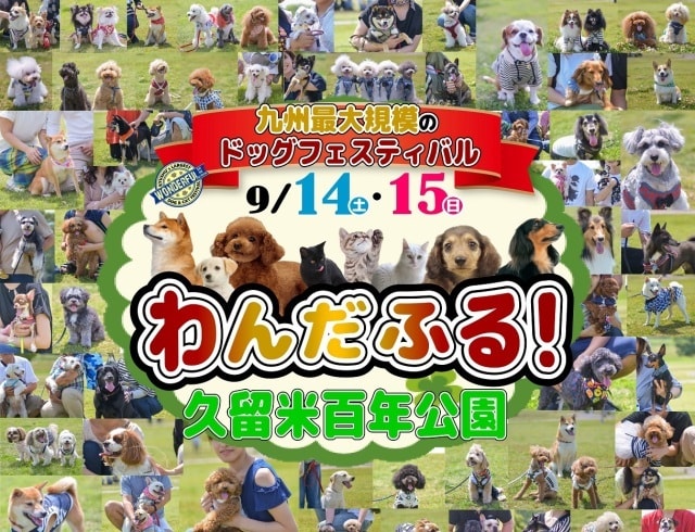 九州最大級のドッグフェス わんだふる 第4回久留米キャンピングカーフェアin久留米百年公園 福岡県 の観光イベント情報 ゆこゆこ