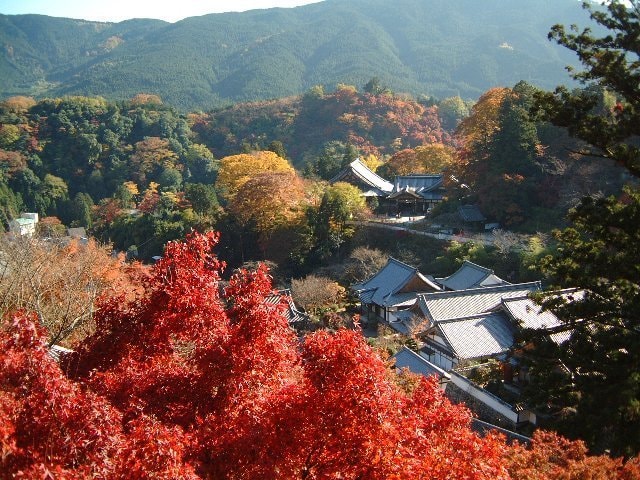 紅葉 見ごろ 長谷寺 奈良県 の観光イベント情報 ゆこゆこ