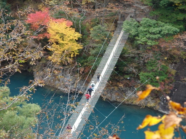 紅葉 見ごろ 寸又峡渓谷 静岡県 の観光イベント情報 ゆこゆこ