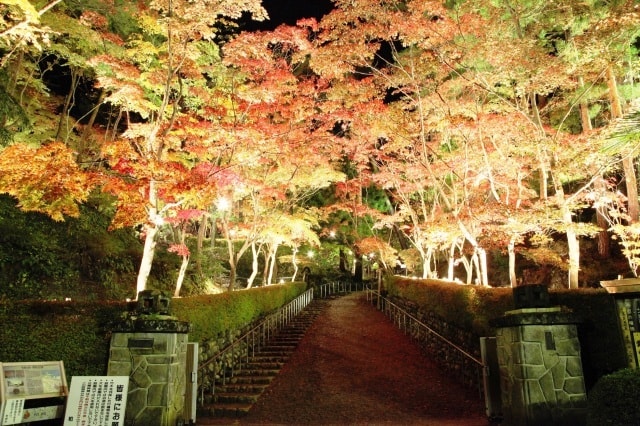 松雲山荘紅葉ライトアップ 新潟県 の観光イベント情報 ゆこゆこ