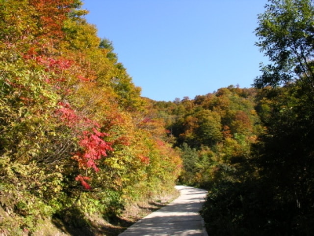 紅葉 見ごろ 部子山 福井県 の観光イベント情報 ゆこゆこ