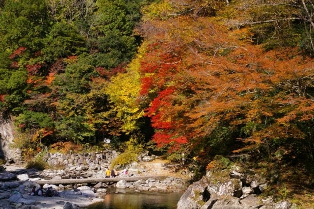 紅葉 見ごろ 安居渓谷 高知県 の観光イベント情報 ゆこゆこ