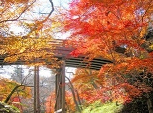 紅葉 見ごろ 高遠城址公園 長野県 の観光イベント情報 ゆこゆこ