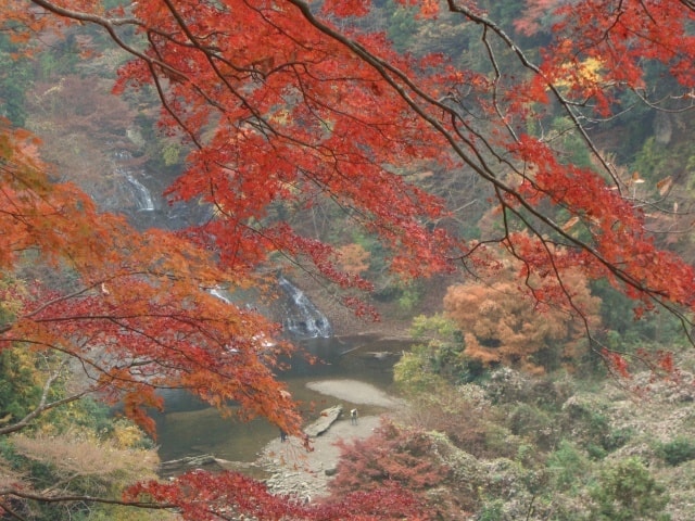 紅葉 見ごろ 養老渓谷 栗又の滝 千葉県 の観光イベント情報 ゆこゆこ