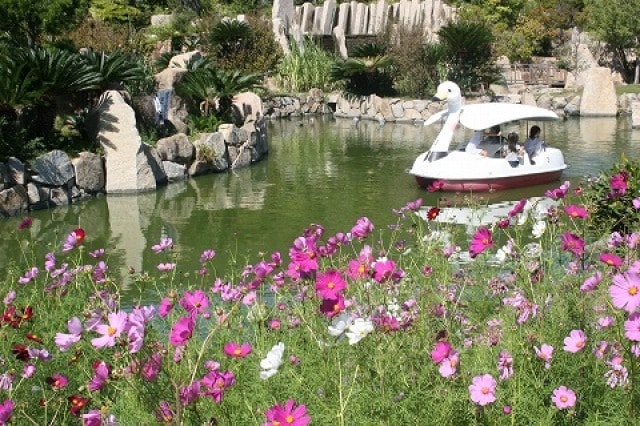 淡路島国営明石海峡公園 秋のボート感謝デー 兵庫県 の観光イベント情報 ゆこゆこ