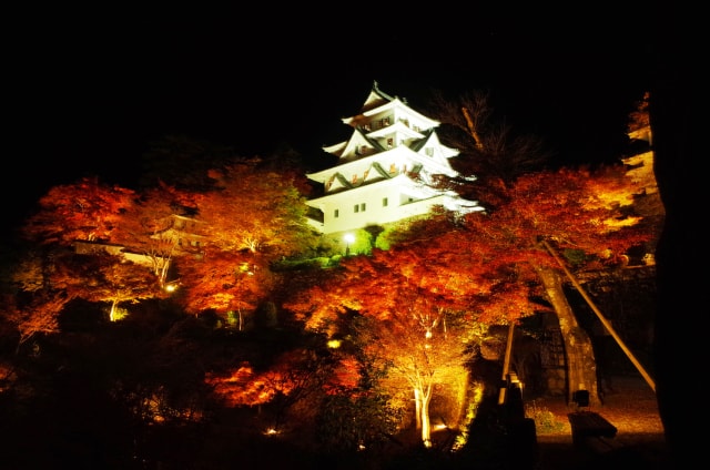 郡上八幡城 天空のもみじ庭園ライトアップ19 岐阜県 の観光イベント情報 ゆこゆこ