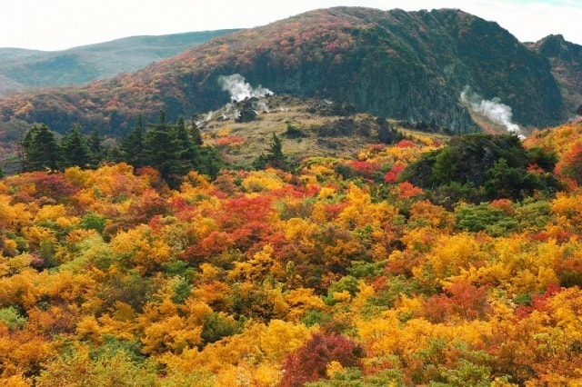 紅葉 見ごろ 栗駒山 須川高原 岩手県 の観光イベント情報 ゆこゆこ