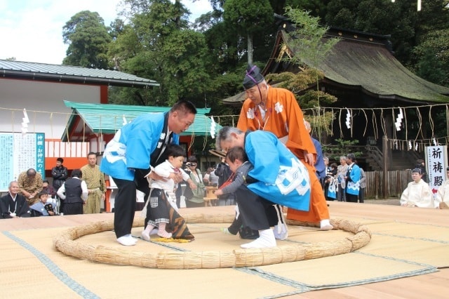 鹿島神宮 相撲祭 茨城県 の観光イベント情報 ゆこゆこ