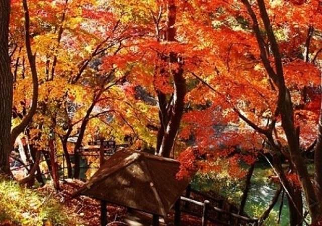 紅葉 見ごろ 諏訪峡 群馬県 の観光イベント情報 ゆこゆこ