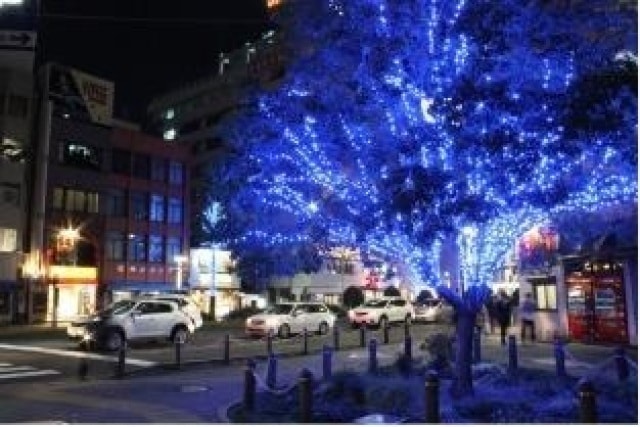 栄ミナミ 大須ウィンターイルミネーション 愛知県 の観光イベント情報 ゆこゆこ