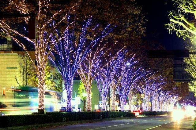 とやまスノーピアード 富山県 の観光イベント情報 ゆこゆこ