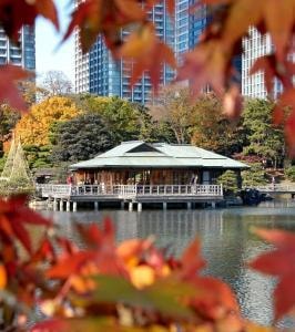 紅葉 見ごろ 浜離宮恩賜庭園 東京都 の観光イベント情報 ゆこゆこ